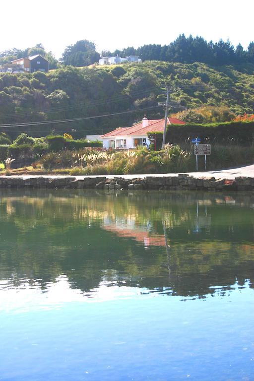 Arts Content Harbour View Leilighet Macandrew Bay Eksteriør bilde