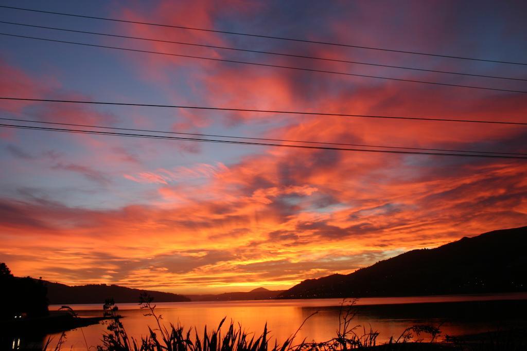 Arts Content Harbour View Leilighet Macandrew Bay Eksteriør bilde